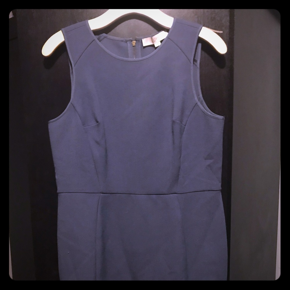 Ann Taylor LOFT dress